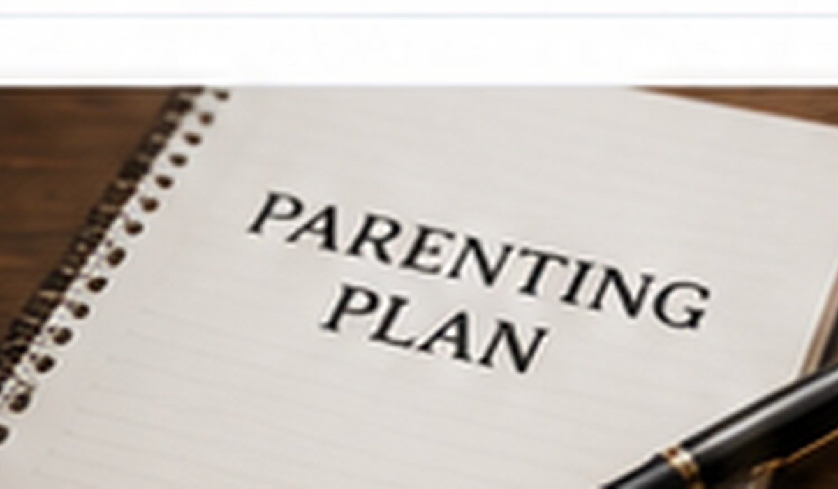Parenting Plan Checklist for Sonoma County Parents